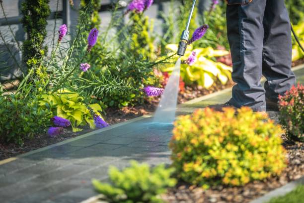 Reliable East Porterville, CA Pressure Washing Services Solutions