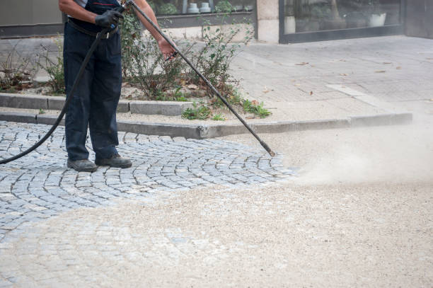 Best Roof Washing  in East Porterville, CA