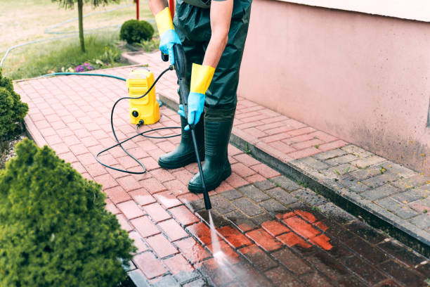 Animal Enclosure Cleaning in East Porterville, CA